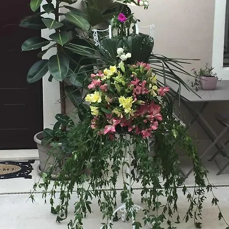 Residenza Elisa 4* דסנזאנו דל גארדה